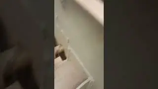 BATTICAL PIPE का पानी इतना फोर्स bakside plant ☘️ subscribe 1k please