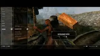 Skyrim SE 26