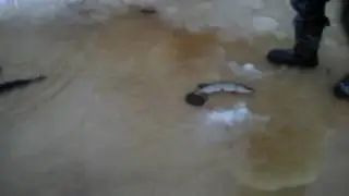 Чудеса северной рыбалки в ХМАО.