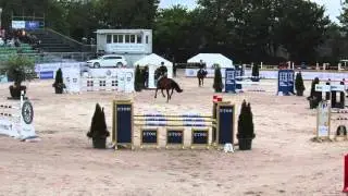 Dadais van het Kastanjehof, Varberg Summer Horse Show