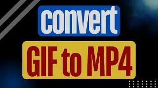Convert GIF to MP4 in Minutes