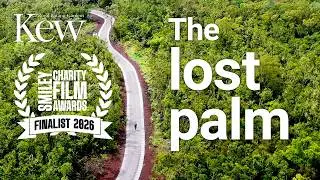 Comoros: The Lost Palm | Kew