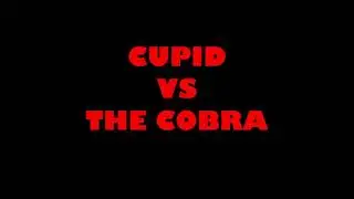 CAT VS COBRA