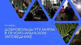 Добровольцы РТУ МИРЭА в Печоро-Илычском заповеднике