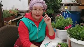 почему Сулейман  не  ушел на пенсию