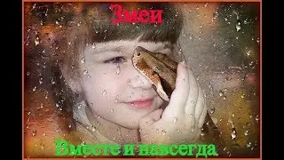 Змеи: Вместе и навсегда