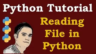 Python File Handling  - Reading File in Python