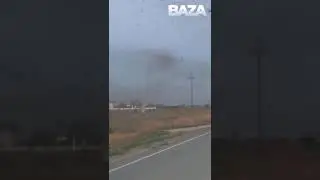 Местные жители Лиманского района в Астраханской области засняли приближающееся облако саранчи