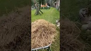 Очередной проект на нашем хуторе - очистка гранитной конюшни.