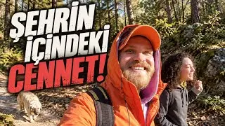 BALÇOVA TERAPİ ORMANI | Kadınlar Burada Özgür #21