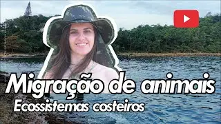 Migração de animais - Ecossistemas costeiros (Santa Catarina - Brasil)