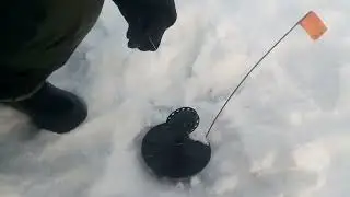 Квх Залив Бирюса. Зимняя рыбалка.