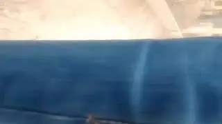 Самый грамотный сотрудник.