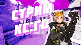 🔴 СТРИМ CS:GO ♥ ММ ♥ КС ГО ♥ РОЗЫГРЫШ СКИНОВ ♥