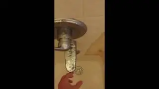 no soap