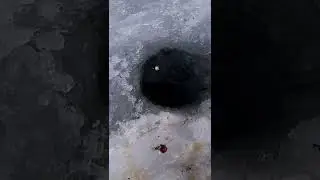 Красивая выкладка ого го 😁👍🤟