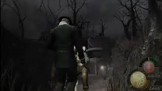 that was re4 on randomizer