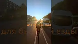 Рыбов про велодорожки