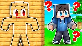 PODVÁDÍM EXTRÉMNÍ PROMĚNOU ve SCHOVÁVANÉ v Minecraftu!