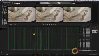 L13 Import Codecs