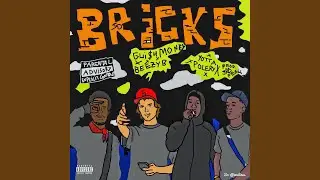 Bricks