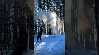 Зима в сердце 💔 #nature #forest #forestsounds #winter #naturephotography #naturelovers #nature