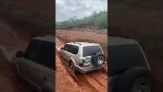 Domingo de Panama 