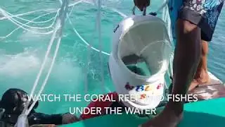 WATCH: Under the sea and up in the air in Coral Islands, Pattaya