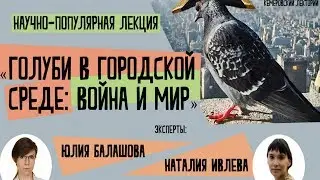 ЛЕКЦИЯ / Голуби в городской среде: война и мир» /