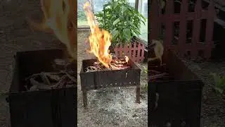 медитация у костра #костёр #шашлык #shorts #short #youtubeshorts #youtube #медитация