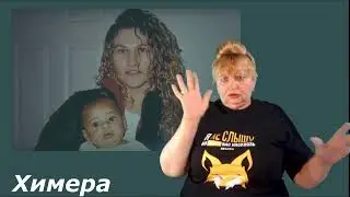 История Химера
