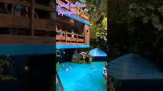belajar di outdoor #tamansafari belajar seru