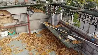 28 октября 2019 г.