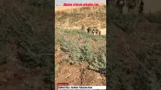 BARIŞ PINARI OPERASYONU YAKALANAN HAİNLER