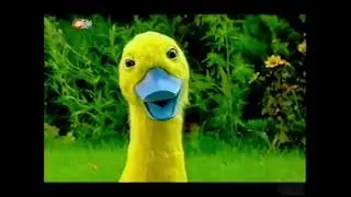 Dog and Duck Theme Song (PAL Pitch)