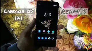 Install Lineage OS 17.1 On Redmi 5