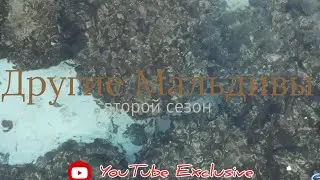 ПРЕМЬЕРА ВТОРОГО СЕЗОНА СЕРИАЛА 