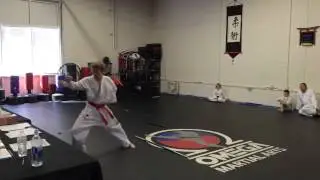 Martial Arts Musical - Bring Something Colorful we Do