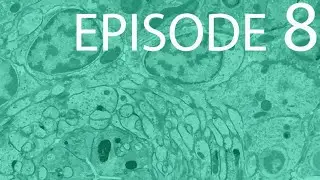 Episode 8 - Cellular Subsystems