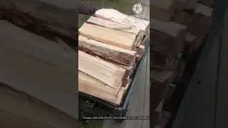 Наша помощница #обычнаясемья #помощникпохозяйству