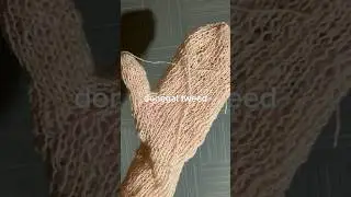 волшебство не иначе #donegal