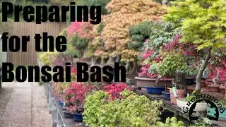 Preparing for the Bonsai Bash - Greenwood Bonsai
