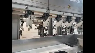 Marel Poultry - FHF-XB front half filleting line for sale