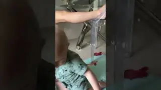 Тимоша