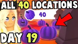DAY 19 - ALL 40 Purple Pumpkins in Adopt Me!