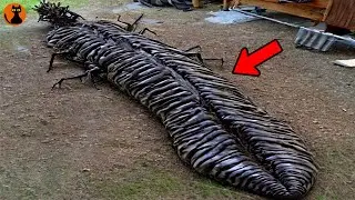 ジャングルの奥地で遭遇した未知の生物や場所８選(ゆっくり解説)#.84
