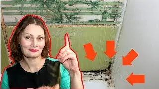 Как НАВСЕГДА убрать ПЛЕСЕНЬ ГРИБОК  очистить ШВЫ МЕЖДУ ПЛИТКОЙ в ванной комнате