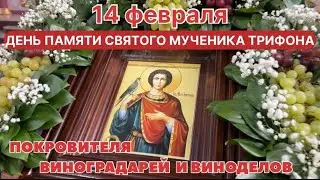 🍇14 ФЕВРАЛЯ ДЕНЬ ПАМЯТИ СВЯТОГО МУЧЕНИКА ТРИФОНА ПОКОРИТЕЛЯ  ПОКРОВИТЕЛЯ ВИНОГРАДАРЕЙ И ВИНОДЕЛОВ.