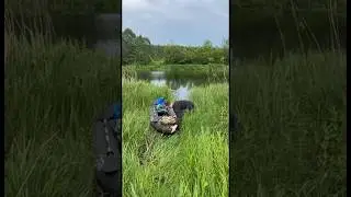 В ТАЙГУ на 6 ЛЕТ #рыбалка #тайга #fishing #shorts #camping #nature
