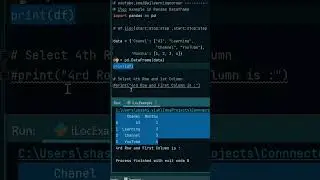 How to use iLoc in Python DataFrame 